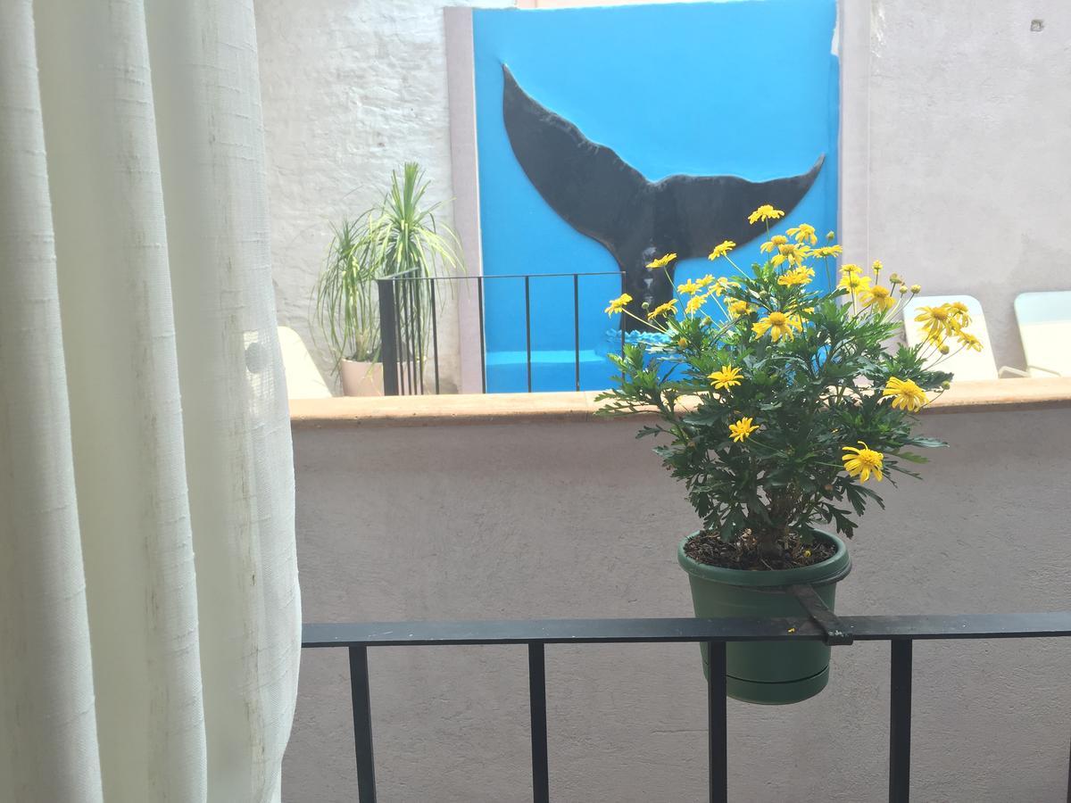 Suites Colibri San Miguel de Allende Ngoại thất bức ảnh